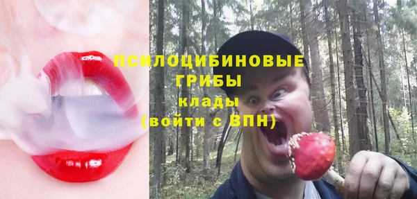 spice Щигры